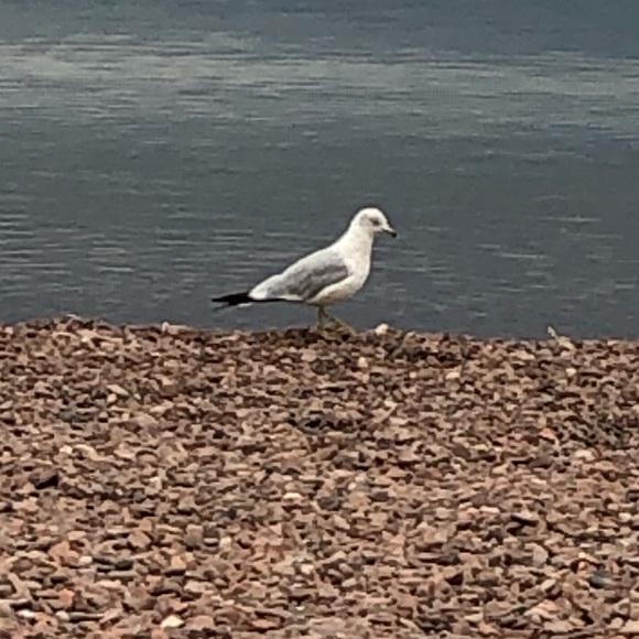 Meet your Posher, Karen - Picture 1 of 1